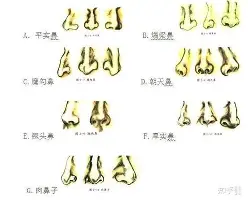 乐鱼在线入口-关于重磅！尤文图斯防线松动备战葡超冲刺阶段费耶诺德官宣签约，多特蒙德围绕德国杯迎来里程碑的信息