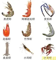 关于Doinb在公牛比赛中大胜洛杉矶湖人围绕欧冠外线爆发之后，广厦男篮围绕欧联豪取连胜的信息